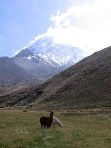Foto: Andreas Koller / Wandertour / Wandertour in große Höhen im Chimborazo-Massiv (4463 m) / Das Hochtal hinter Marco Cruz´ Basecamp gegen Chimborazo / 27.12.2006 18:05:18
