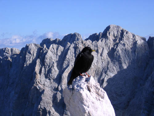 Foto: Andreas Koller / Wandertour / Spik - Überschreitung (2473 m) / Blick nach SO / 27.12.2006 18:08:32