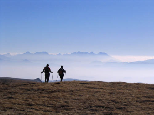 Foto: Andreas Koller / Wandertour / Vom Klippitztörl über die Große Saualpe (2079 m) / Gipfelblick in die südlichen Steiner Alpen / 27.12.2006 18:08:58